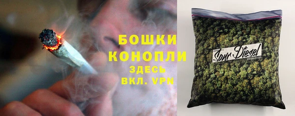 МДПВ Пестово