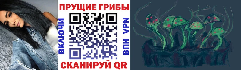 Купить закладки  Киселёвск  Галлюциногенные грибы Cubensis 